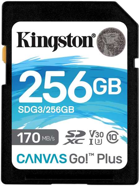 123693_1 Kingston Tarjeta SDXC 256GB UHS-I U3 V30 Clase 10 170MB/s Canvas Go Plus - Imagen 1