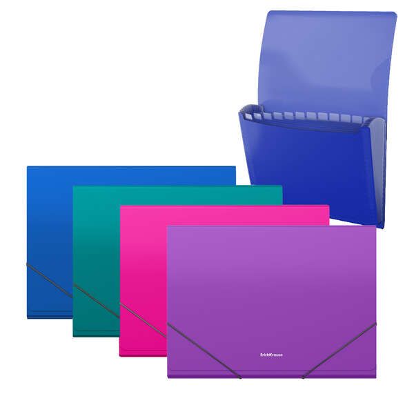 225362_1 Erichkrause Matt Vivid Carpeta/Clasificador con 12 Fundas A4 - Acabado Mate - Colores Surtidos - Imagen 1