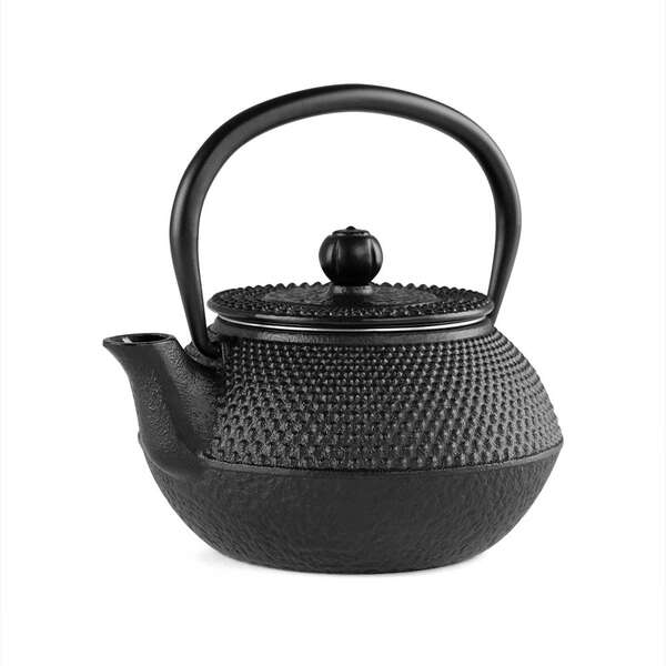 246987_1 Orbegozo TTH Tetera Tetsubin 300ml - Diseño Tradicional Japones - Interior Esmaltado - Filtro de Acero Inoxidable - Apta para Todo Tipo de Fuegos Disfruta del Te Como Nunca Antes - Imagen 1