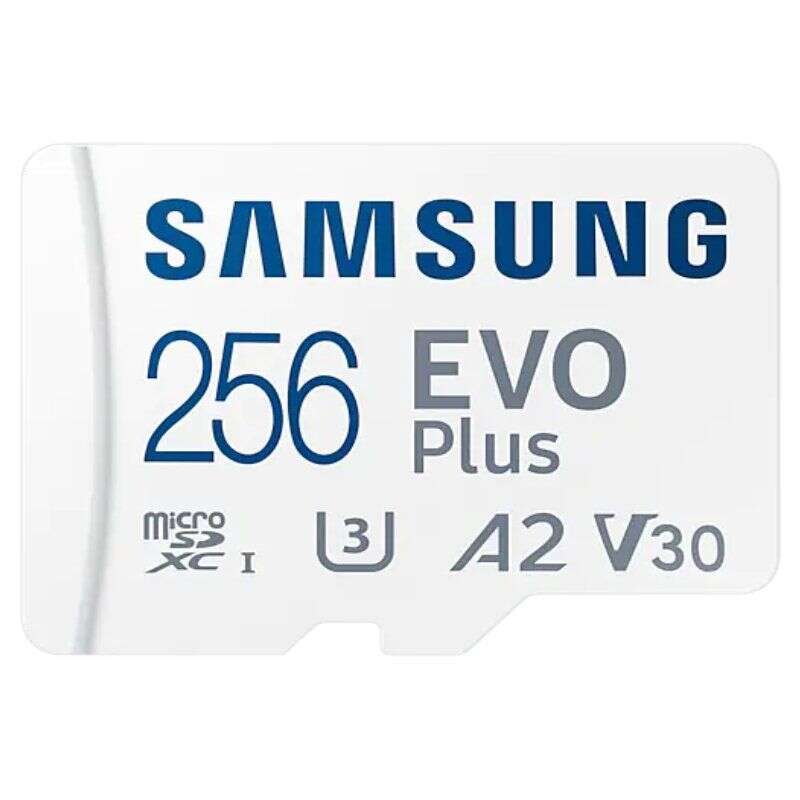 266322_1 Samsung EVO Plus Tarjeta Micro SDXC 256GB UHS-I U3 V30 - Imagen 1