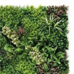 Sungarden Jardin Vertical Serie Floron 100x100cm - Color Verde - Imagen 3