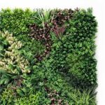 Sungarden Jardin Vertical Serie Jardinova 100x100cm - Color Verde - Imagen 3