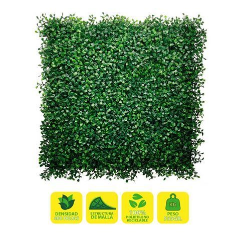 272182_1 Sungarden Jardin Vertical Serie Floraria 50x50cm - Color Verde - Imagen 1
