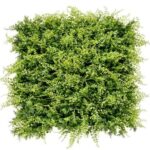Sungarden Jardin Vertical Serie Jardino 50x50cm - Color Verde - Imagen 2