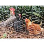 Sungarden Malla Gallinero Hexagonal 13x0.7mm 1x50m - Color Gris - Imagen 2