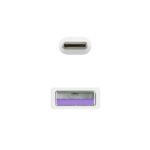 Nanocable Cable 2.0 3A USB-C Macho a USB-A Macho - Longitud 3m - Color Blanco - Imagen 4